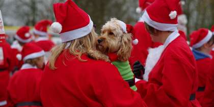 A group of people wearing red Santa suits, with one holding a dog dressed as an elf A group of people wearing red Santa suits, with one holding a dog dressed as an elf