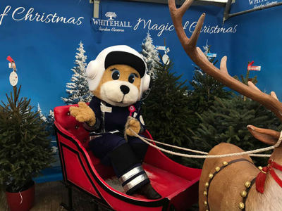 A teddy bear pilot mascot sat in a Santa's sleigh in front of Christmas trees. A teddy bear pilot mascot sat in a Santa's sleigh in front of Christmas trees.