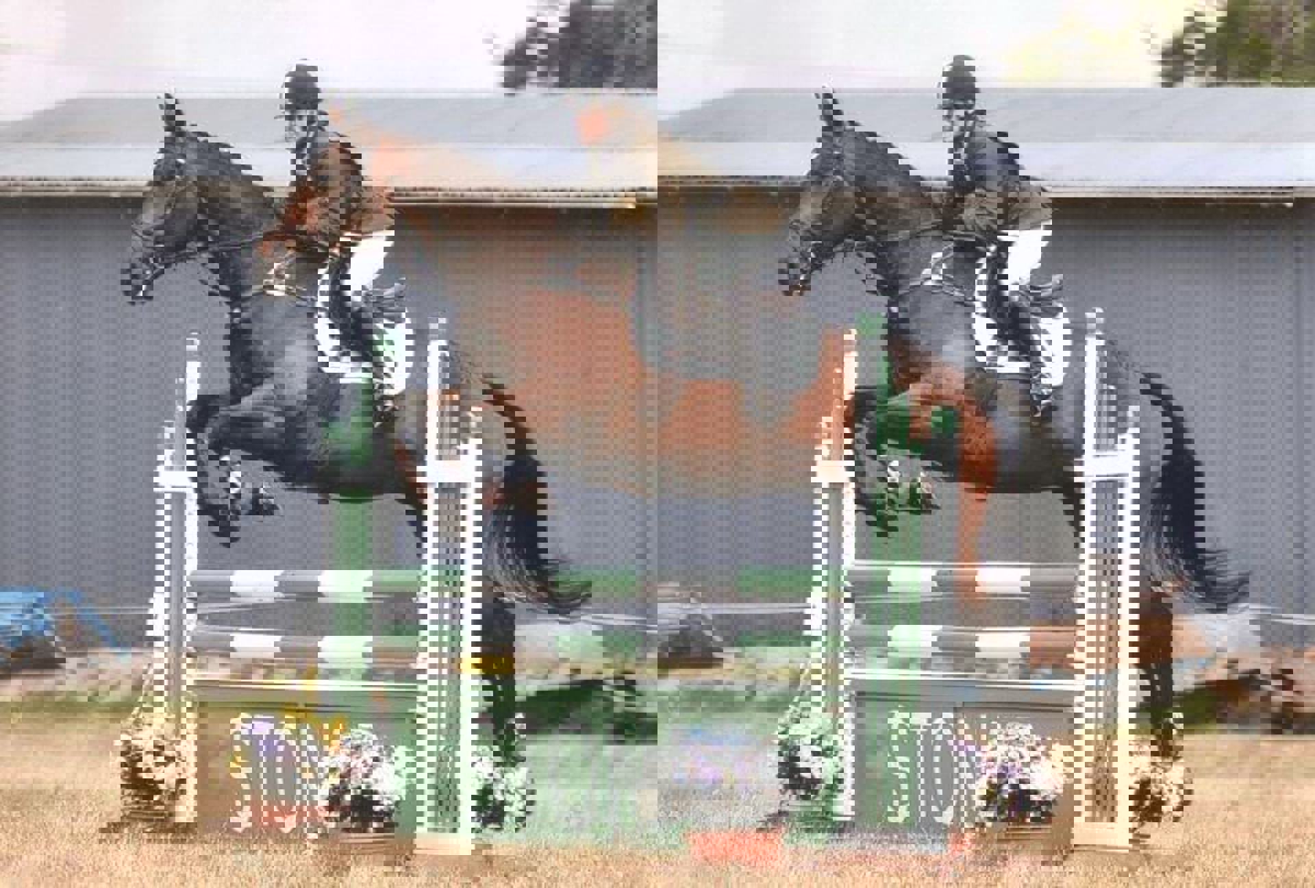 A horse rider jumping over a green fence A horse rider jumping over a green fence