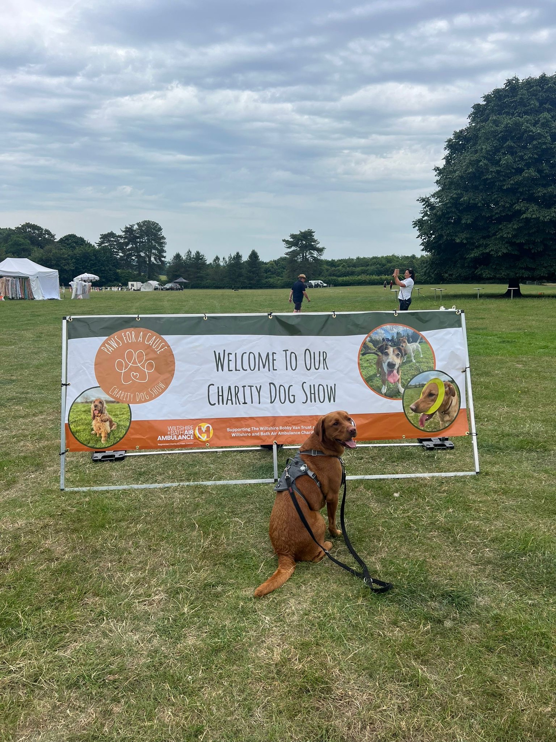 A brown dog in front of a banner A brown dog in front of a banner