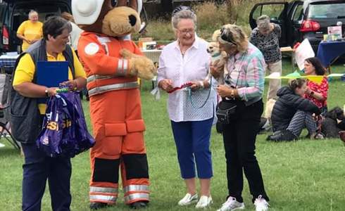 Corsham family fun day with dog show Corsham family fun day with dog show