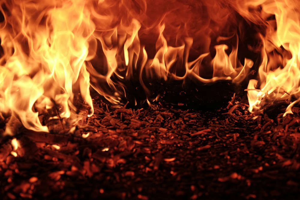 Firewalk 2026 Firewalk 2026