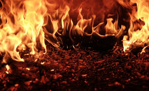 Firewalk 2026 Firewalk 2026