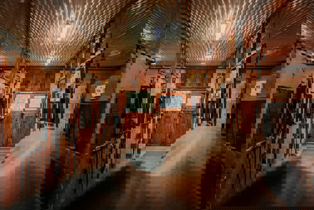 Bradley Road Stables Fundraising Charity Night Bradley Road Stables Fundraising Charity Night