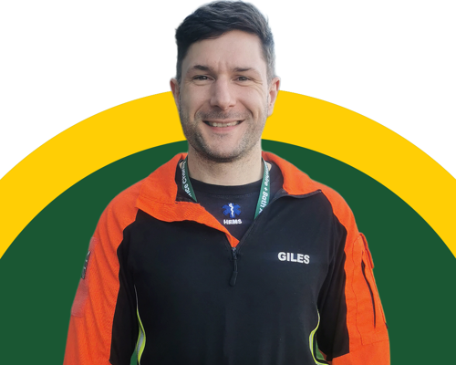 Giles Nicholes