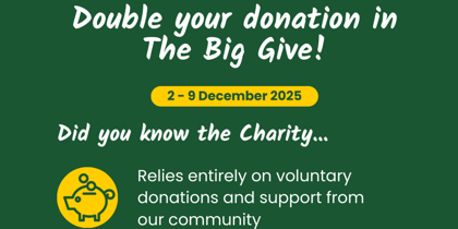 Social Media Graphics Social Media Graphics