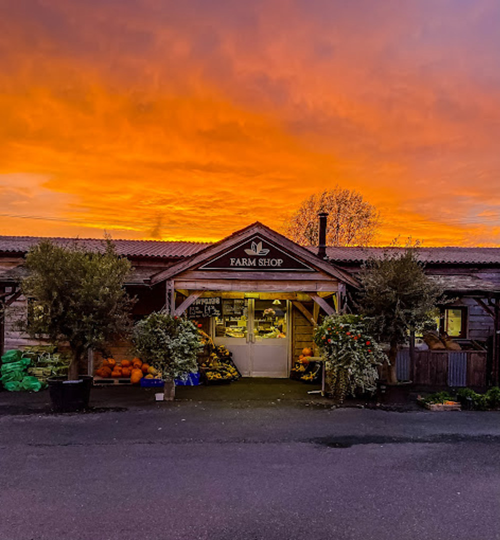 The front of the farm shop at Lowden Garden Centre at sunset The front of the farm shop at Lowden Garden Centre at sunset