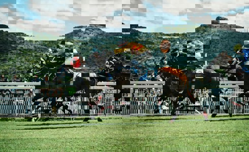 Charity Race Night