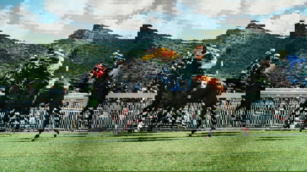 Charity Race Night