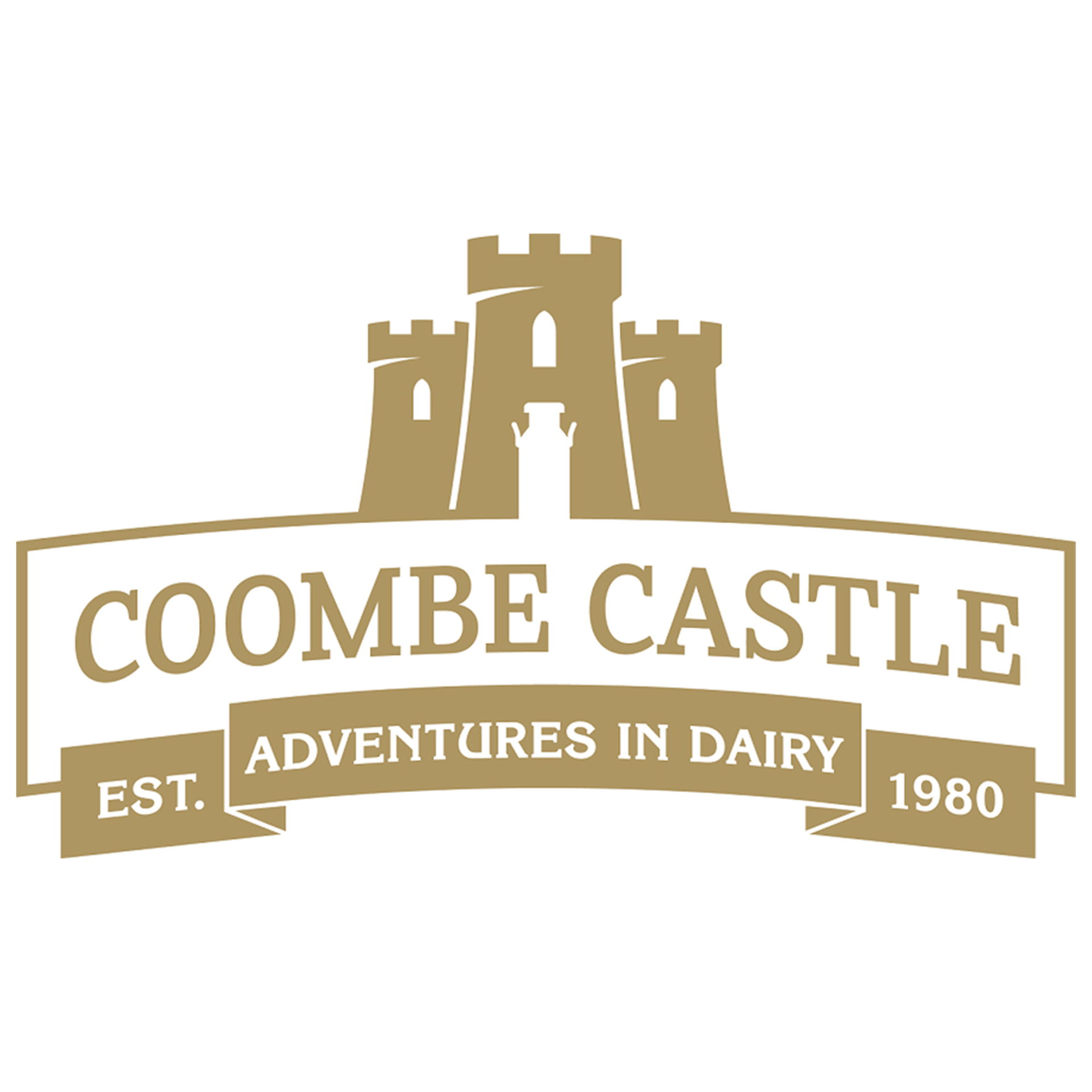 Coombe Castle International