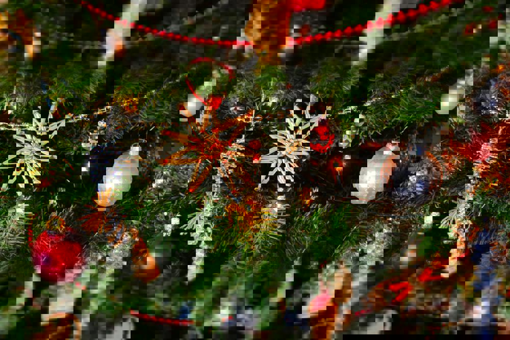 Minster Church Christmas Tree Festival